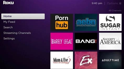 porn roku|How to Watch Porn on Roku In 2024